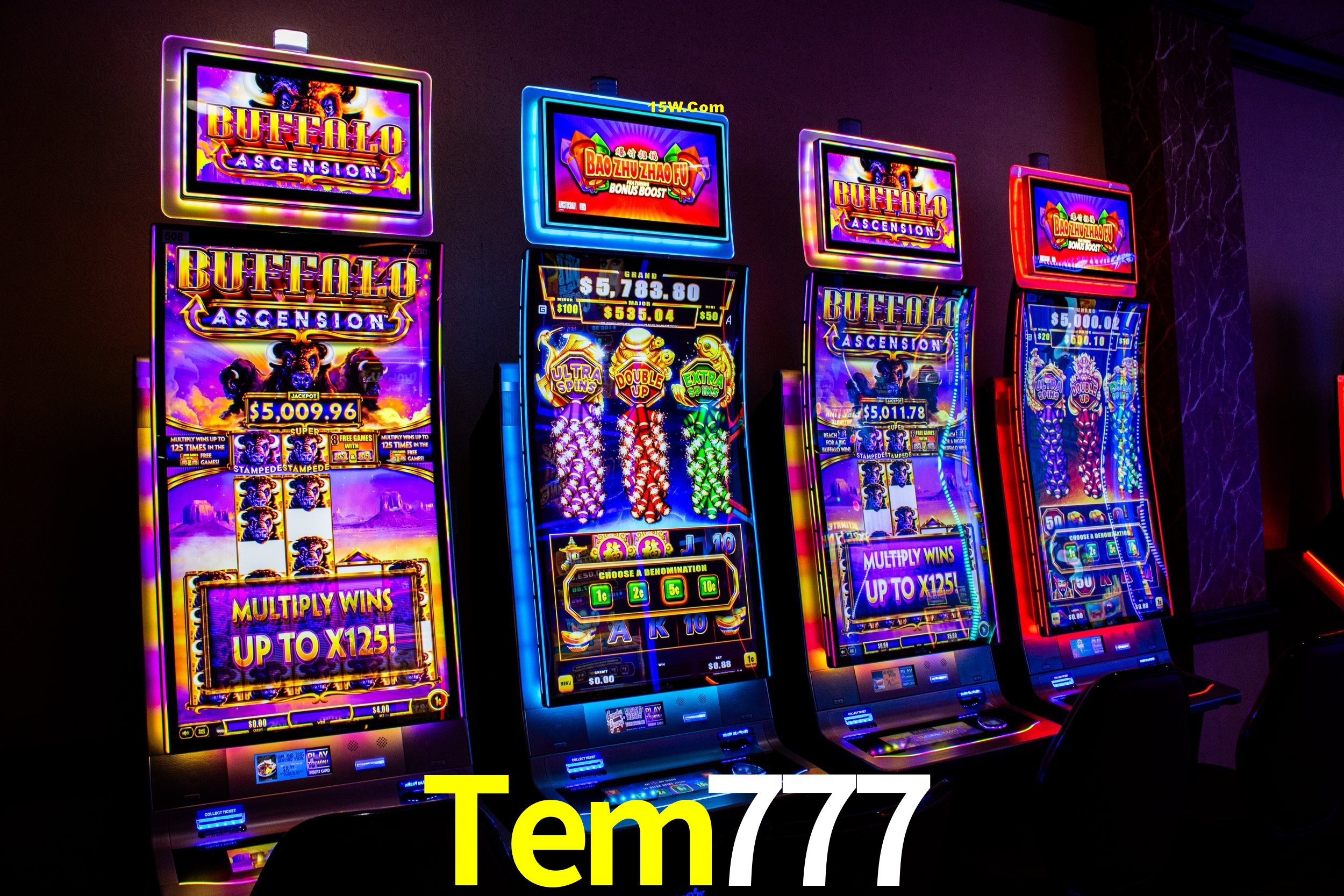 Bonus Features Tem777